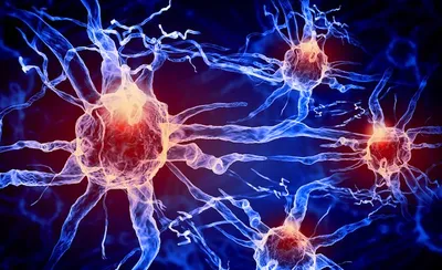 Brains On! Live