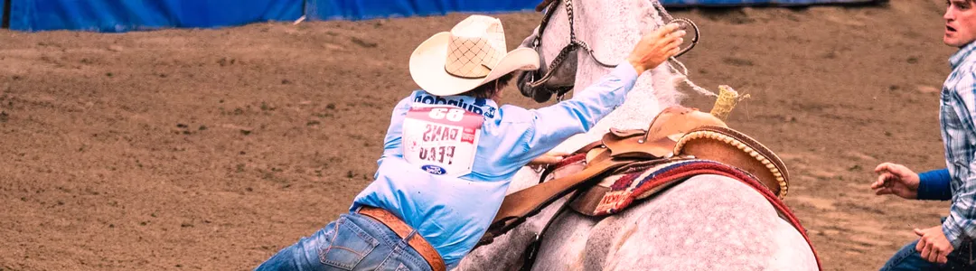 Bullride Mania