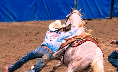 Bullride Mania