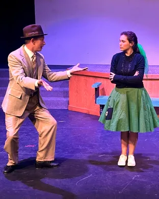 Bye Bye Birdie