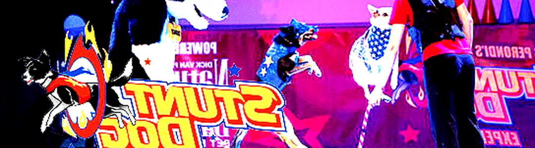 Chris Perondi's Stunt Dog Experience