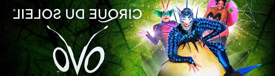 Cirque du Soleil - Ovo