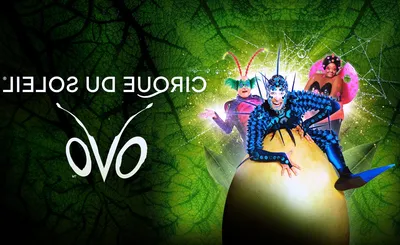 Cirque du Soleil - Ovo