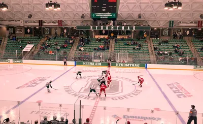 Dartmouth Big Green Hockey
