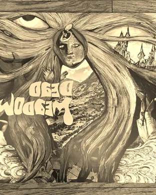 Live concert by Dead Meadow