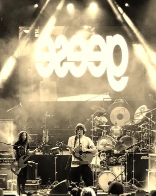 Geese - Band