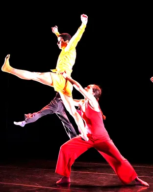 Malpaso Dance Company