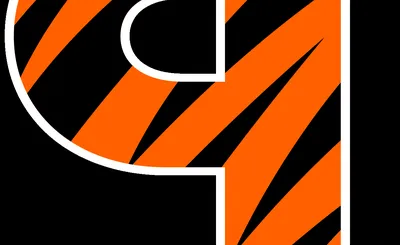 Princeton Tigers Football