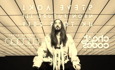 Steve Aoki