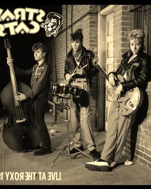 Stray Cats Bethlehem