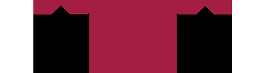 Temple Owls Football