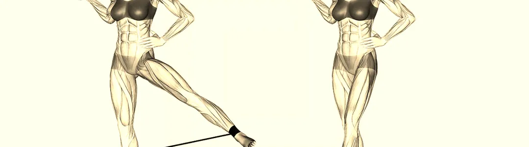 The Hip Abduction