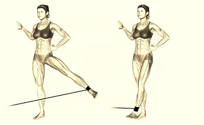 The Hip Abduction