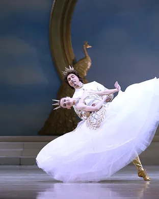 The Sleeping Beauty - Ballet