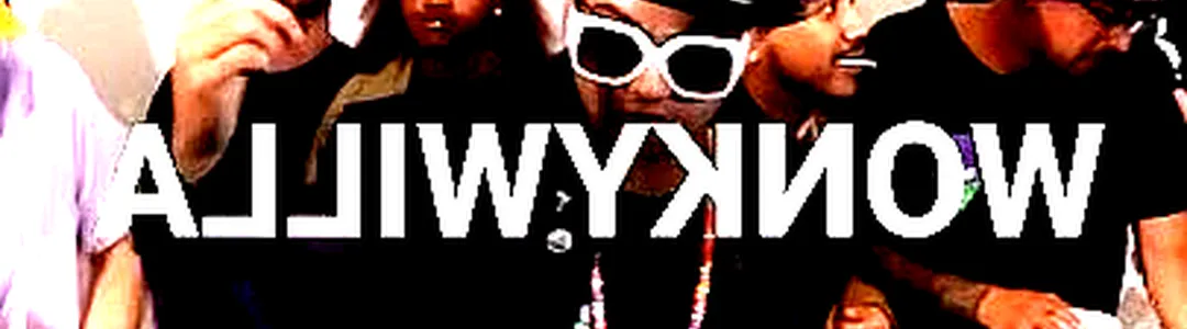 WonkyWilla