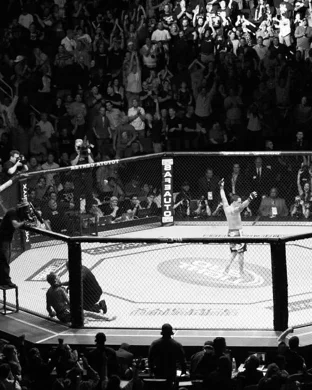 UFC 330