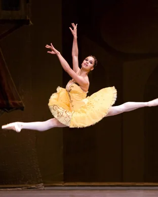 United European Ballet Company: Swan Lake